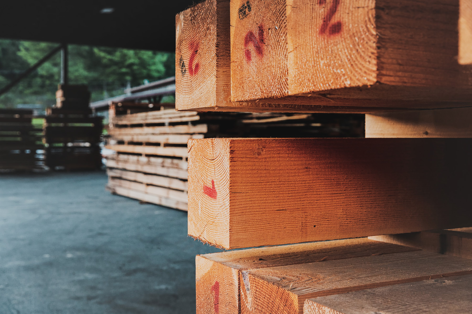 Boone-Lumber-Process-Select-Material